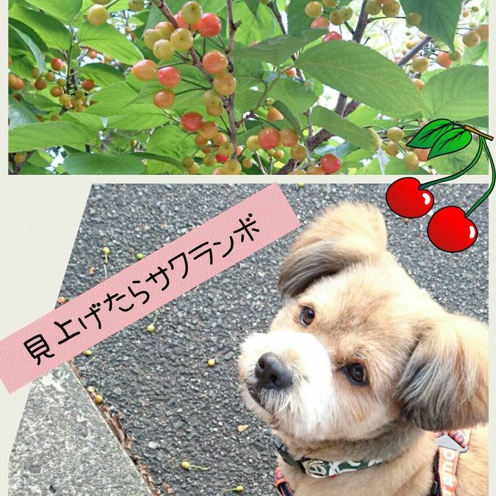 C1ce75bc 6fbe 454e 8cf8 da9f1e74a04e 1524351487277