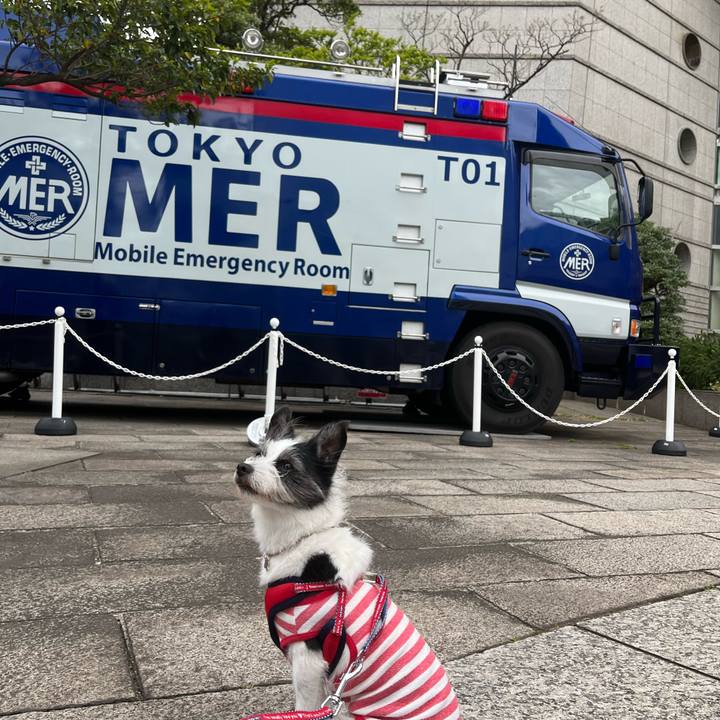 C1ceb11b b3f9 4780 9035 9e92b7c8006c 1682837017068