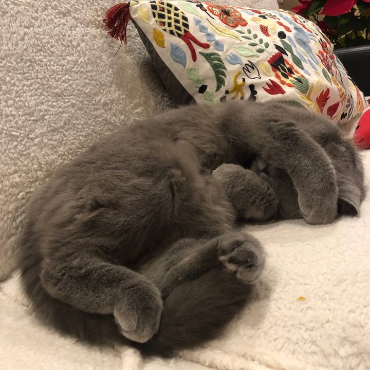 C1ceb406 6577 458d 98fa 1755bd29753c 1548905626320