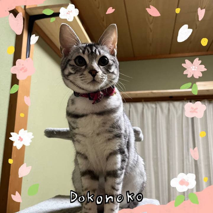 C1cecadc 3710 4fd7 b5e5 4b5dab9e927c 1711107858657