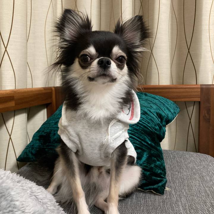 C1cee7f6 b9da 45c3 a0f6 6ee8bbd56f26 1642945173377