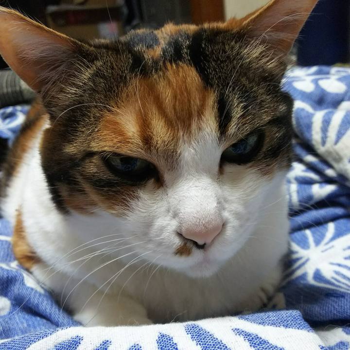 C1cef8ae 5787 4cee bf2a c70774ef3428 1529326665099