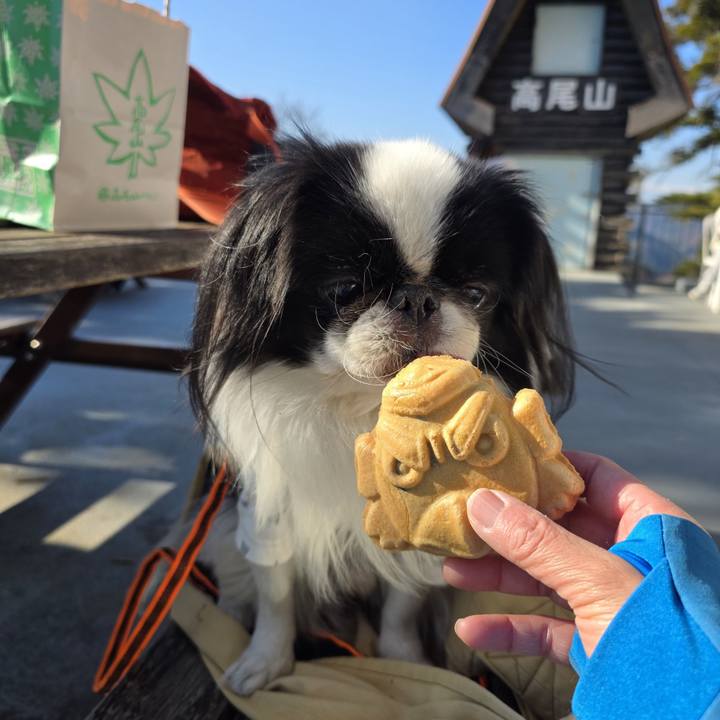 C1cefc76 faa1 4a7c 8aab eb289203489e 1765443965814