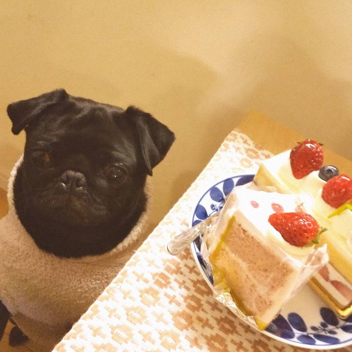 C1cf4693 49da 4279 9400 888551b3d526 1583928125360