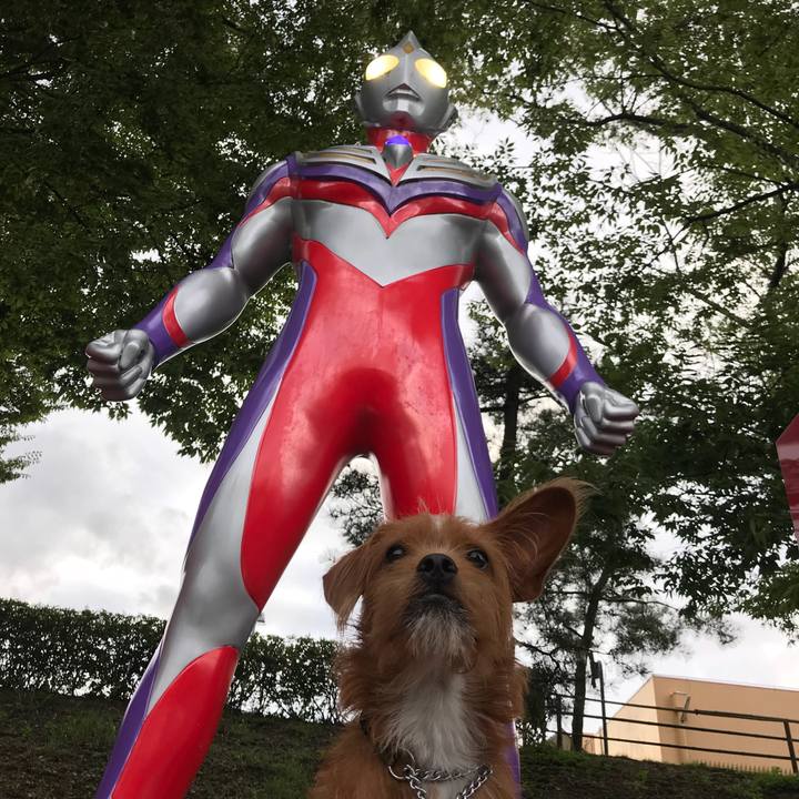 C1cf59f7 6e86 4b9b 8ad8 ca589ccd1f1a 1537183569999