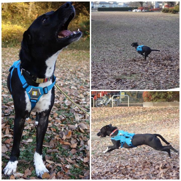 C1cf5a80 7512 4580 ad04 28312068633f 1607991401744