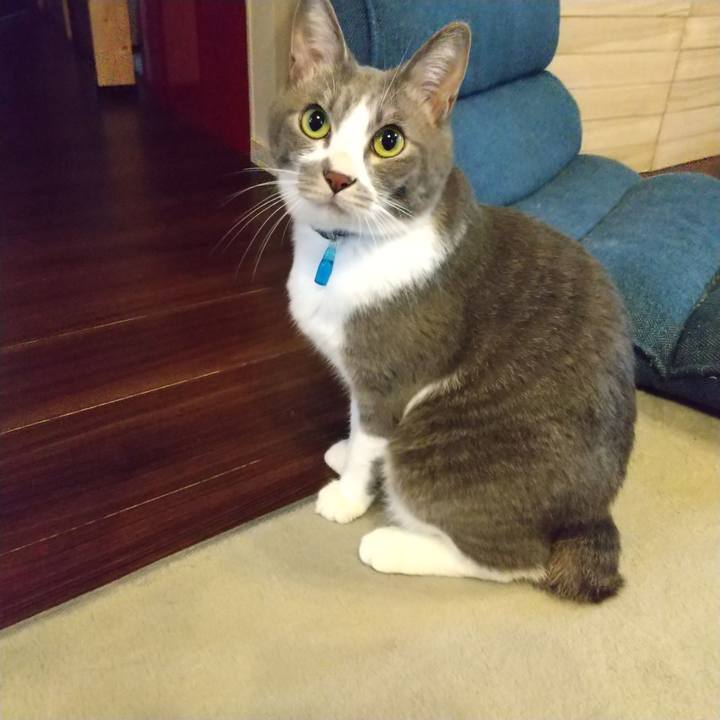 C1cf6eb7 2c43 4912 b12d c75f12a811b6 1617660459964