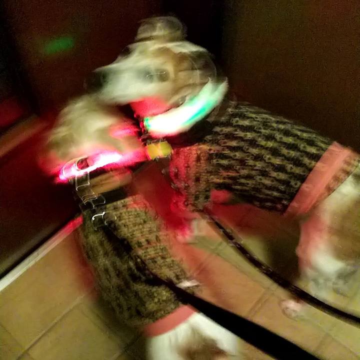 C1cf919d eaa5 4645 b845 397a82365af5 1542980735838