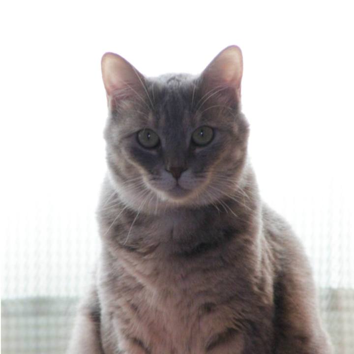 C1cfb850 26ba 4063 8665 32a4451cc6e6 1593917078636