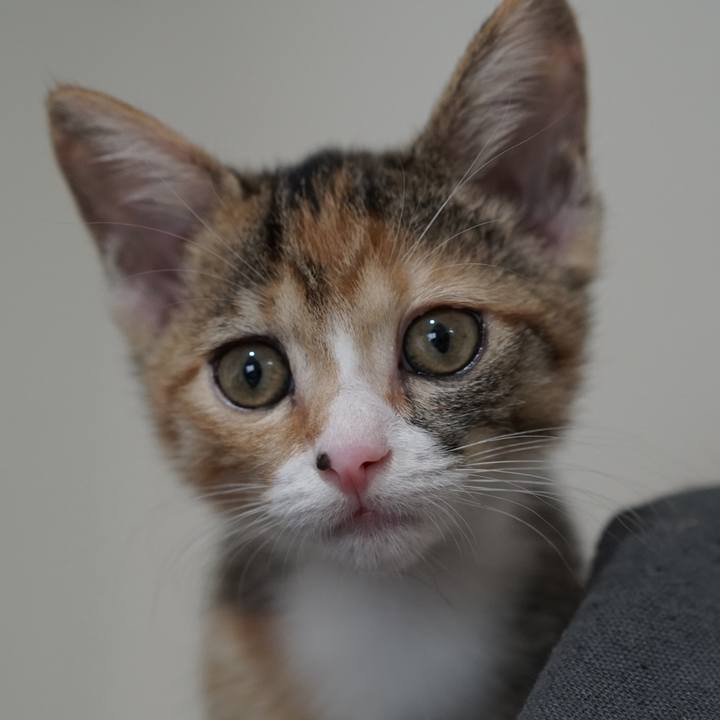 C1cfea17 a5a3 49aa be53 38a8bed76f15 1568471558134