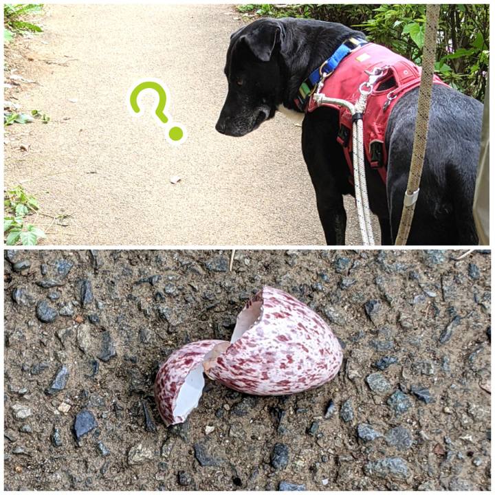 C1d0081c b4b5 4886 b11b 4bde31053564 1685062170427