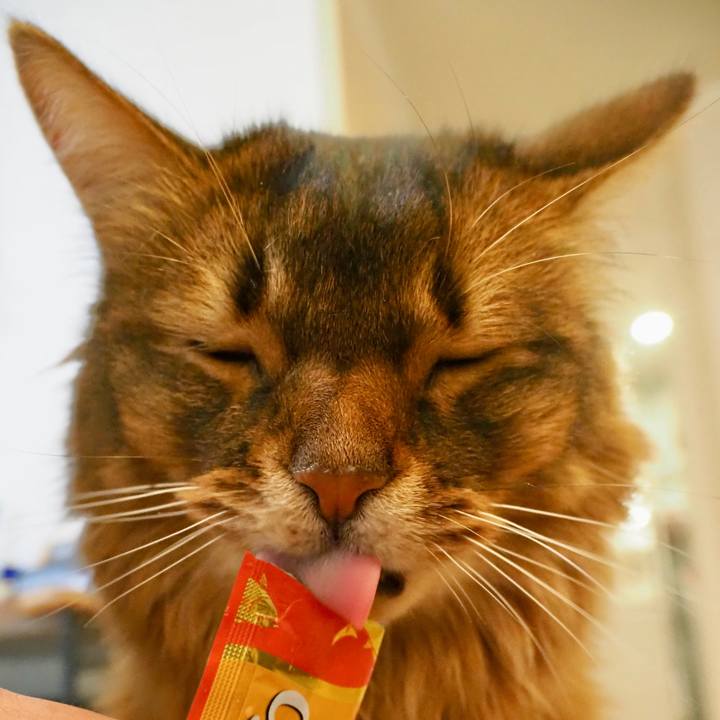 C1d00fa3 9e67 4448 b2ae 65f5761d2617 1679628879576