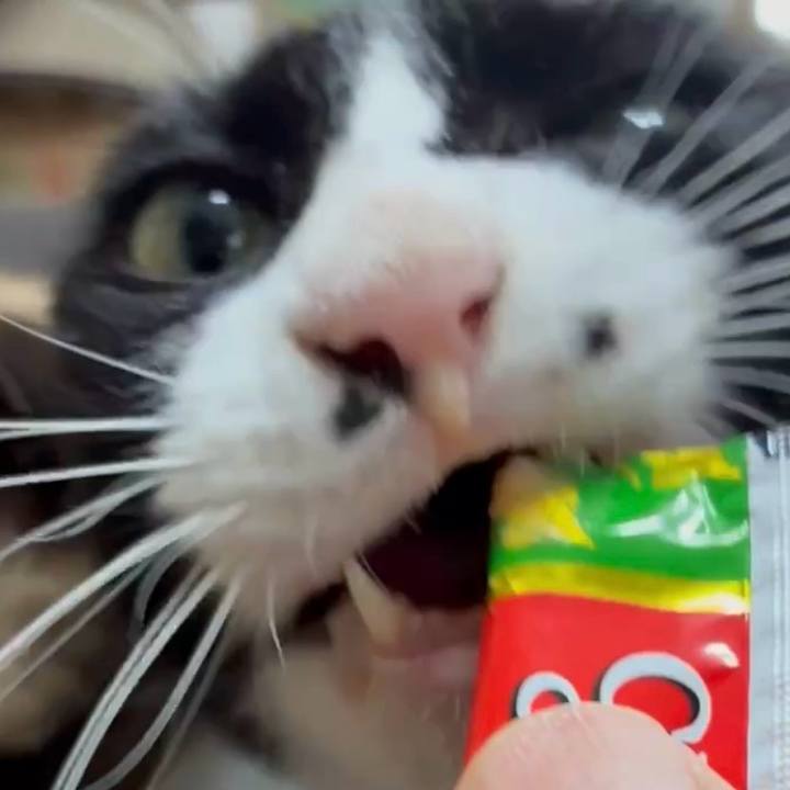 C1d0231f 18d4 4314 a870 89b6fe90da9f 1784386994807