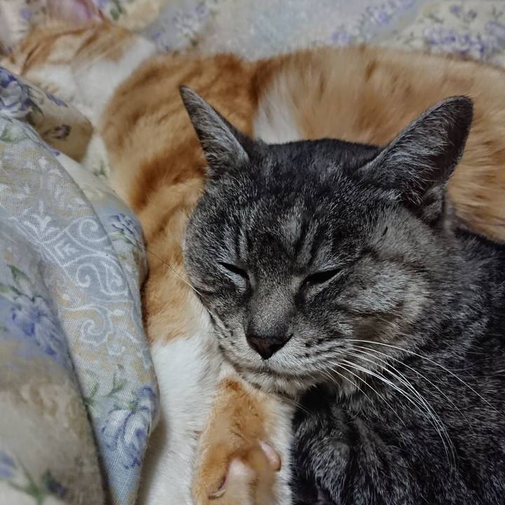 C1d028e1 4747 42d5 9c19 7be041f48c06 1579093186924