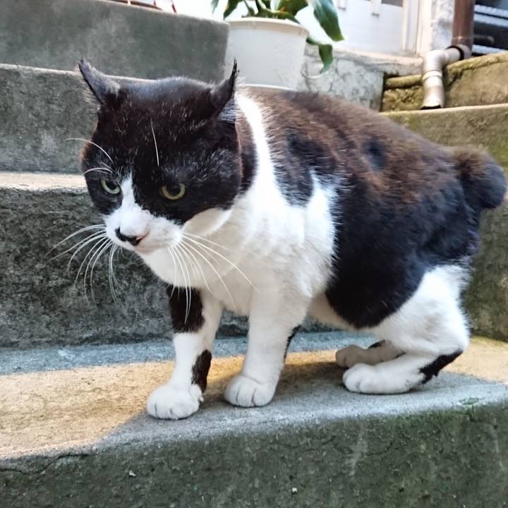 C1d05261 9536 463d 9cce adc007451e62 1667462761046