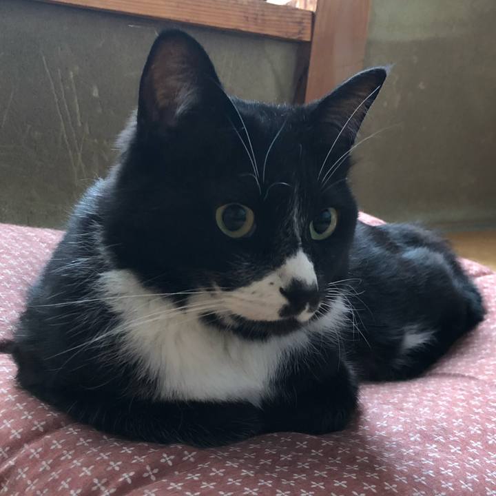 C1d0da17 3029 4ba8 ba0c ada40775ef07 1656340323626