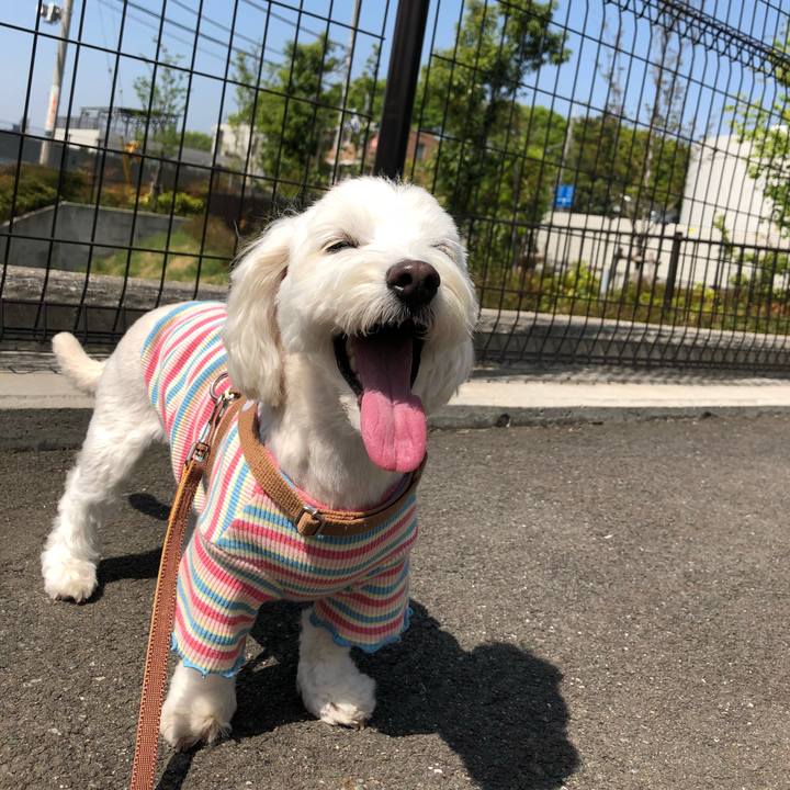 C1d0e520 5e8c 47ea 9cec ab644cd47970 1523505082100