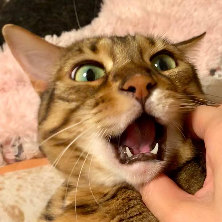 C1d0ff8f 9f4c 40e5 97ae 8db3083fc4f0 1560727568014