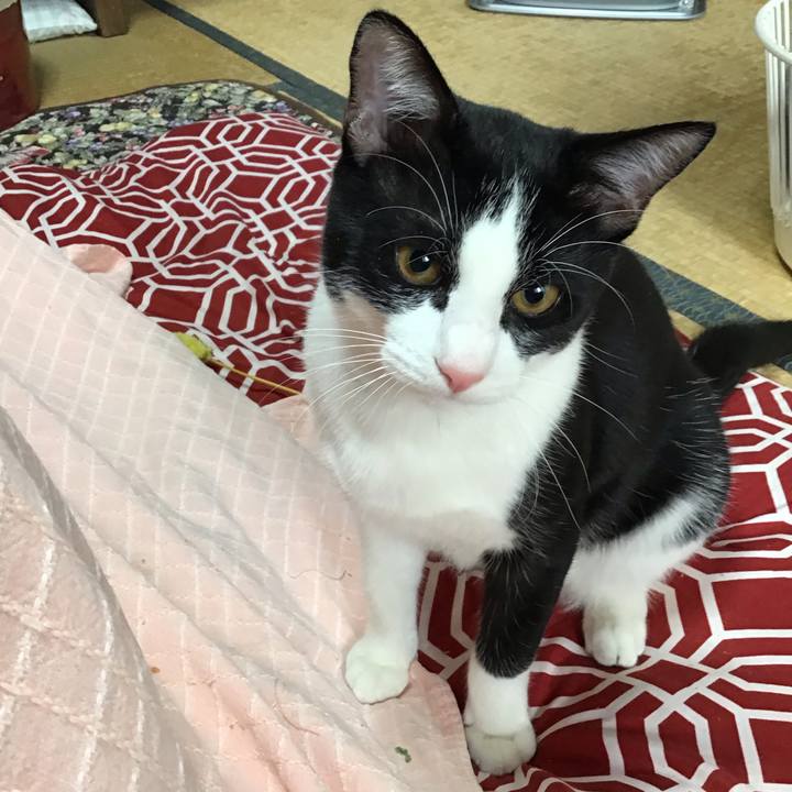 C1d12dd5 1f3c 48f2 a7e9 de4079088a20 1637104208875