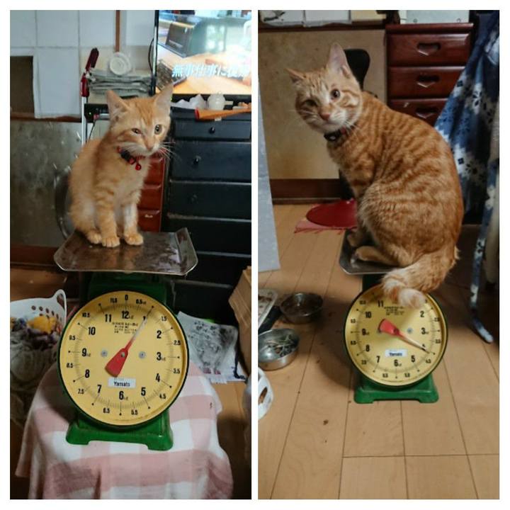 C1d173f2 539b 4002 8a55 079d5bedce3c 1642932009893