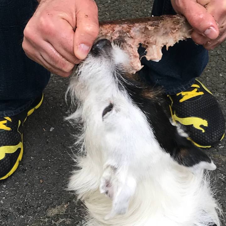 C1d1e83b 9907 46fc ba30 507daf8c95aa 1523110262532