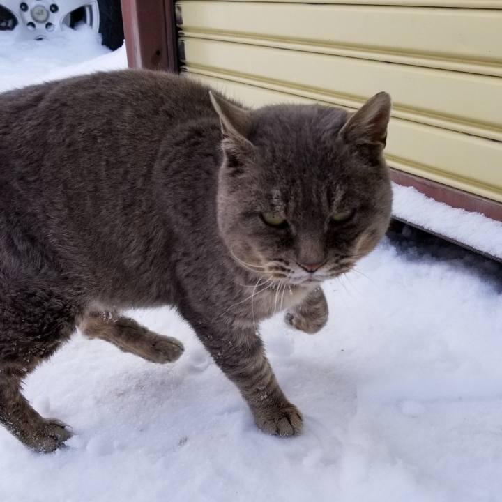 C1d1ed13 e382 41d8 abb3 485723aa1724 1549493270466