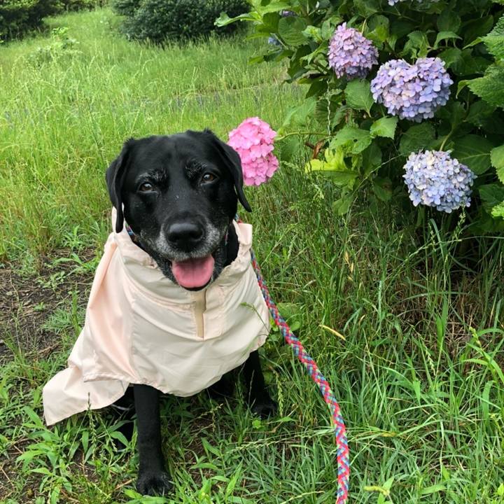 C1d2015a f9b4 41c3 8ab7 7a66257c7f78 1758984292811