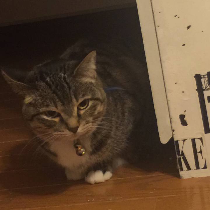 C1d24cdb c7ea 44f2 82c1 65563a796ac2 1555942857143