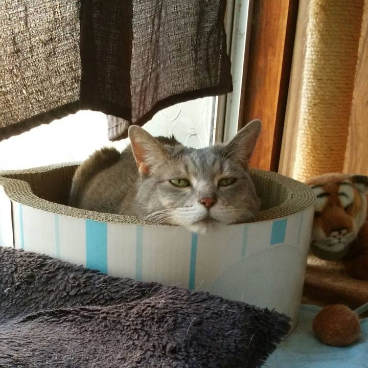 C1d250f8 cafe 4012 bc83 a9948642f214 1588406545593