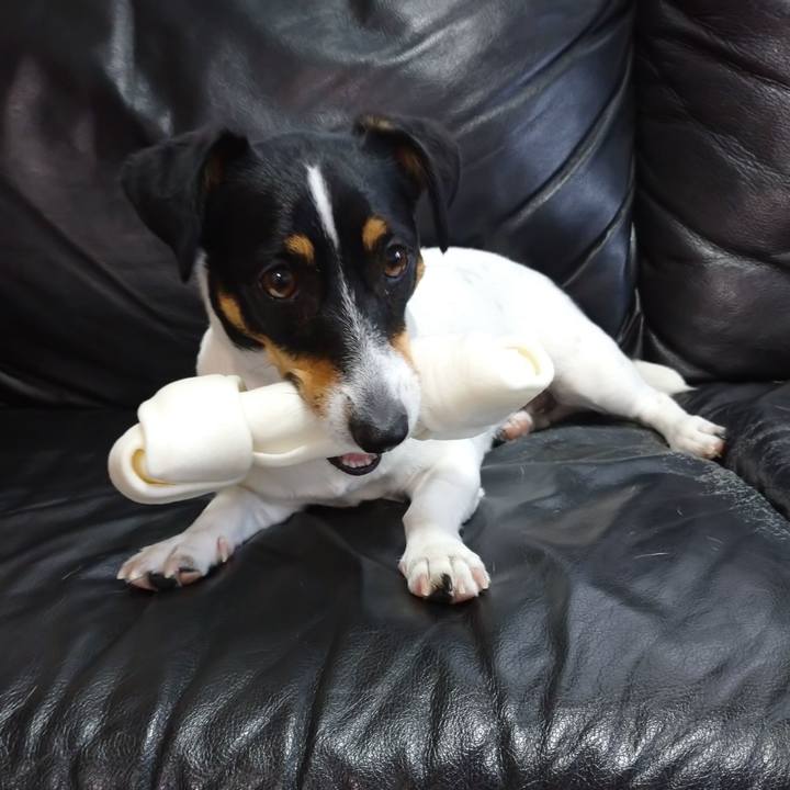 C1d25f71 fe77 4eb4 88e8 0a4957281b0a 1594947432695