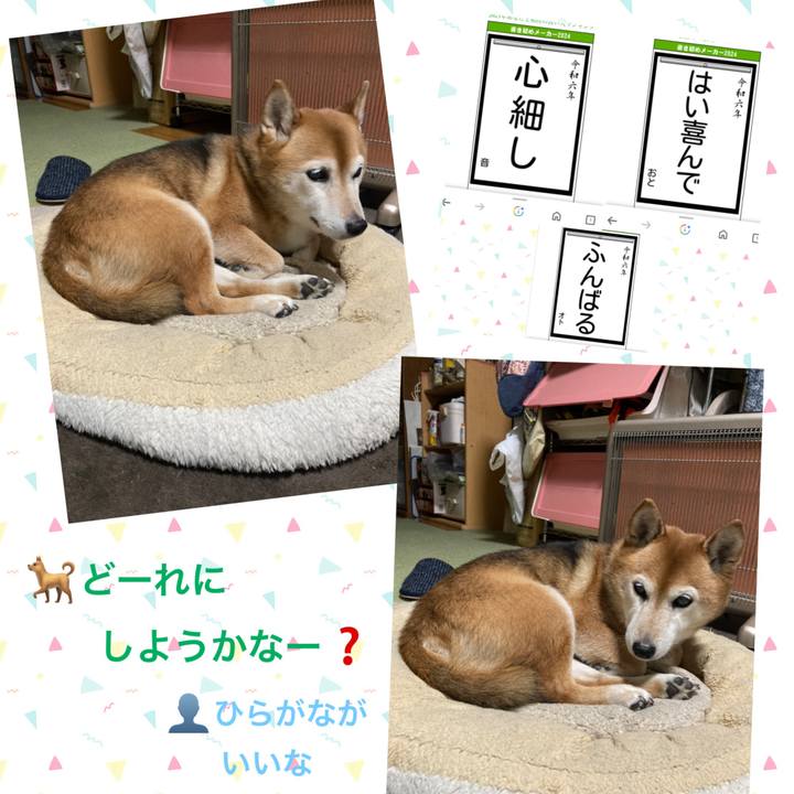 C1d2821c e541 4a5f 844a 9c2d3db829c5 1704342703776