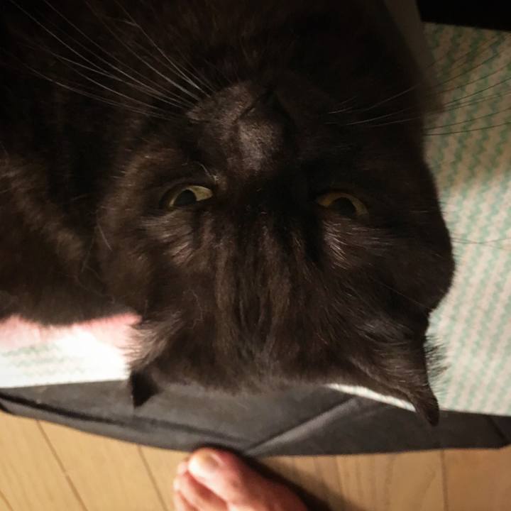 C1d2ae8d 4d7d 443d 8bbf a05906e03df3 1545584060722