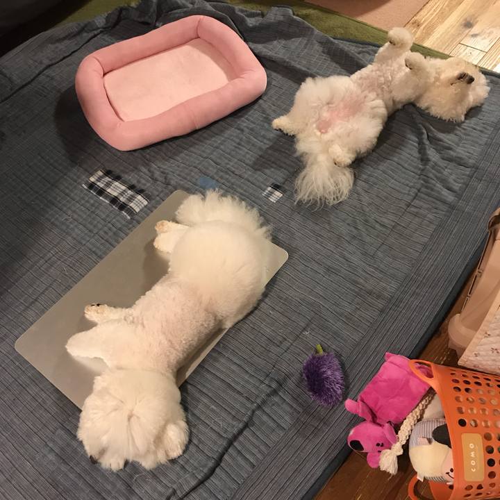 C1d2c256 6bca 4f4b bcbc 1c01c79a6b6d 1529150400118