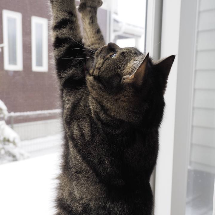 C1d2e716 3e2f 41b6 be21 742eed3c8a09 1644562606121