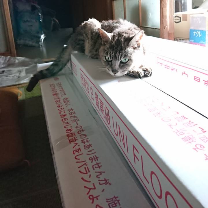 C1d2eaad a720 4f5e 9dd9 680111885f37 1596254461071