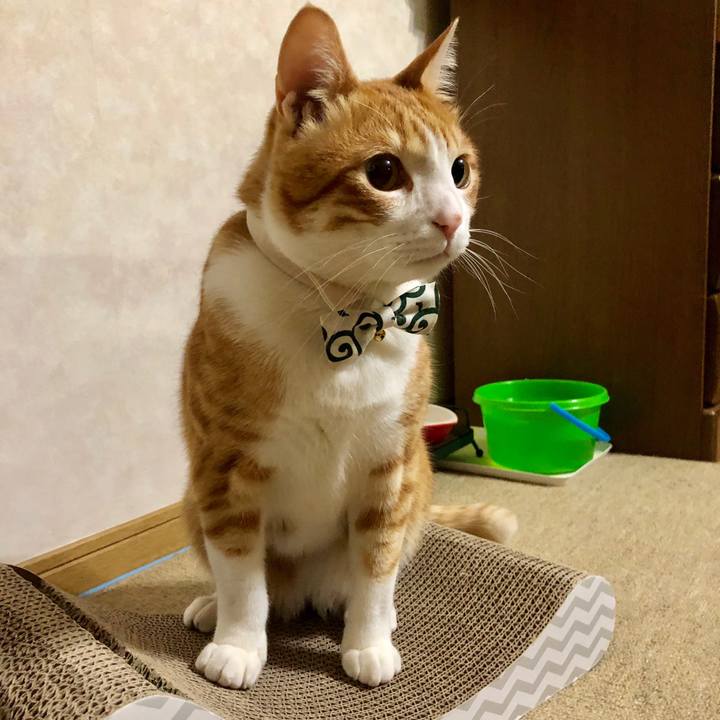 C1d320cc 2c87 456d 989e bc8afbdd7510 1549722828256