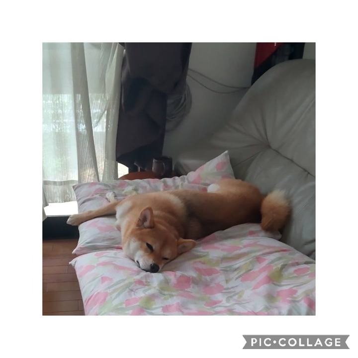 C1d35c47 1a0b 4745 821a 45b07f5c3586 1663907595364