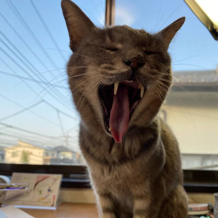 C1d37939 ec7b 4f43 ab6d d341f6a8c1fd 1616245982812