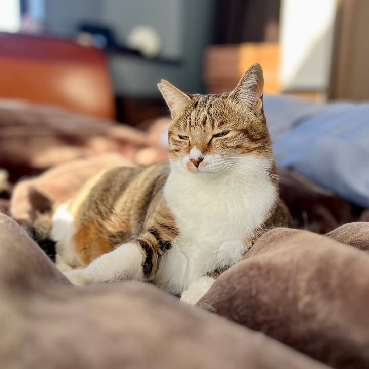 C1d39009 db0e 4cbe b444 a7536f59df14 1765030008336