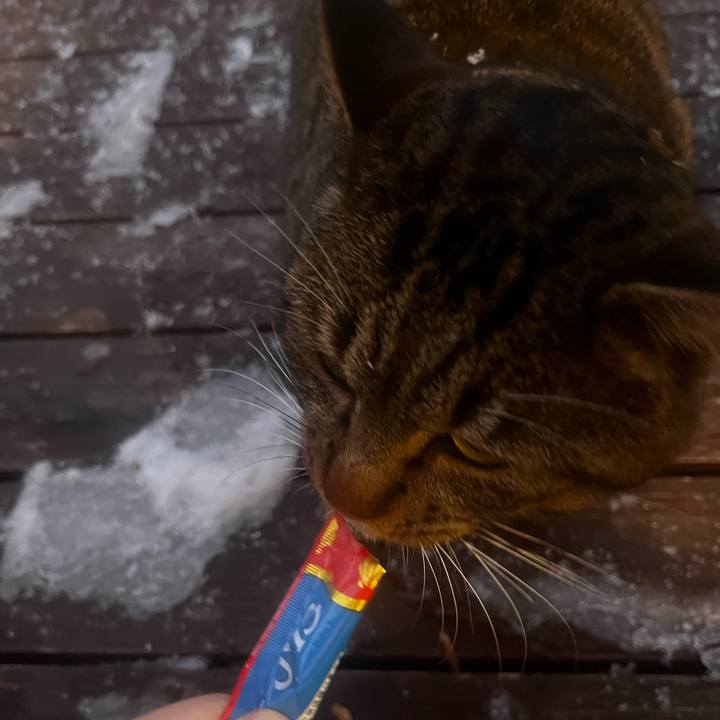 C1d39db4 8a38 41f6 91c0 a7c187aaaed5 1735715750294