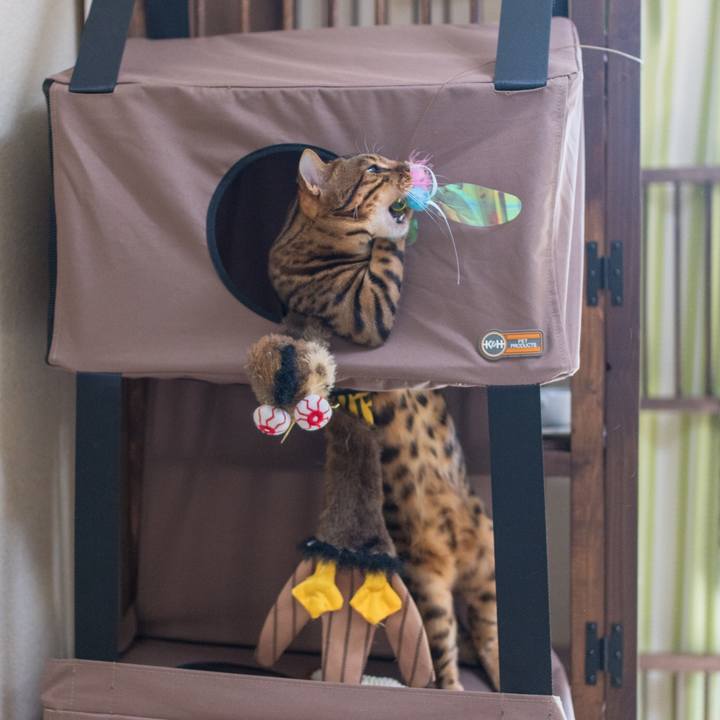 C1d42995 878f 4bf2 b259 3e07229716b3 1519745835451