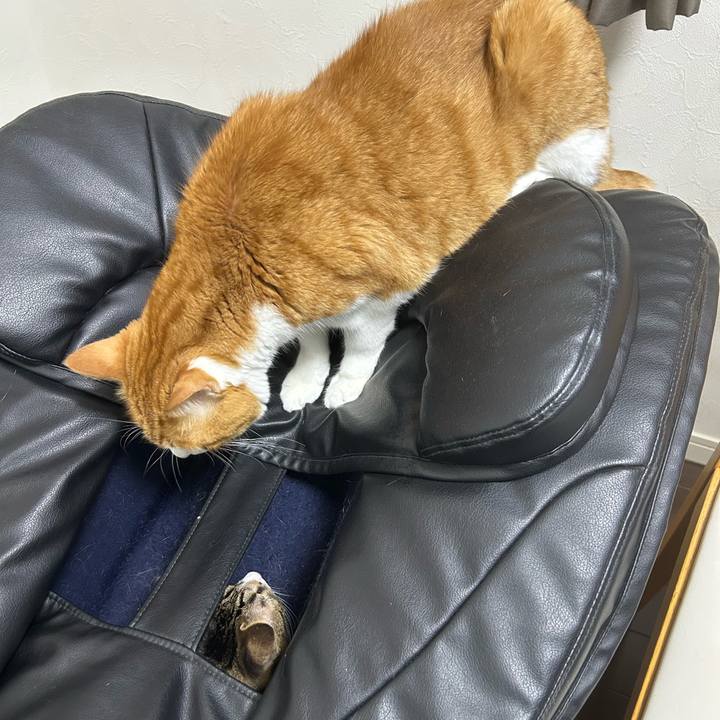 C1d429ac d2c5 4f37 9ac2 e82833982758 1760161938543