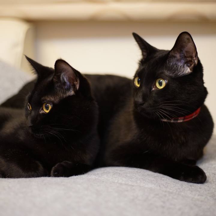 C1d42b4f be91 402f b429 c5d00d7eab0e 1516061208936