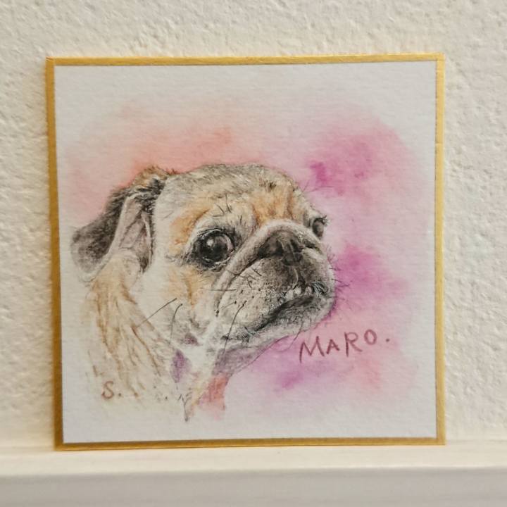 C1d4a5db 0f9d 4360 ad9b f8c031ec258e 1585555090829