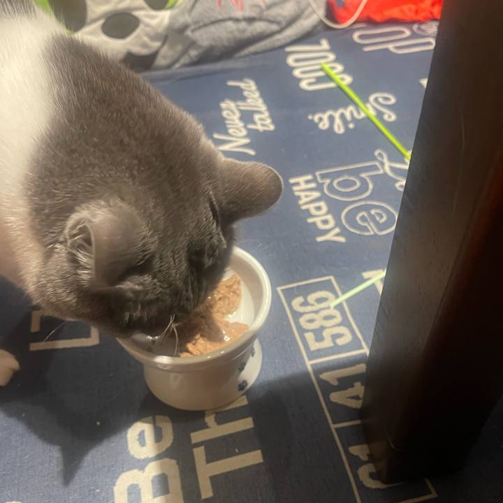 C1d4e182 27a9 487a a843 76a6e1dd4d5a 1729768783819