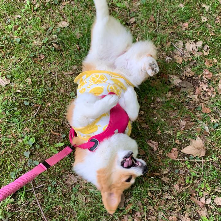 C1d51c3f e0b5 4c22 a372 62f552b0f3b9 1618548125296