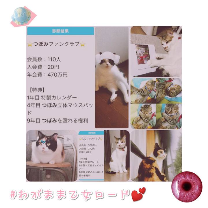 C1d525b0 5b98 47f1 83ea d47b479368a9 1568372647235