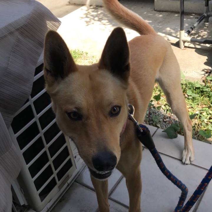 C1d526ba b52c 4673 afa5 0200eedc05a7 1525269798147