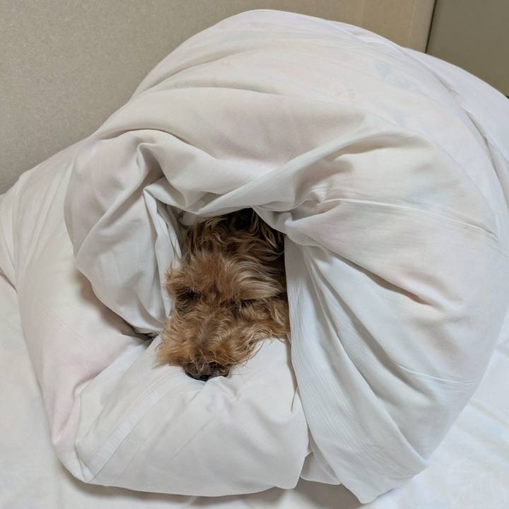 C1d5735d 3eb1 4b5b 8224 1d69eb714a3e 1756068248604