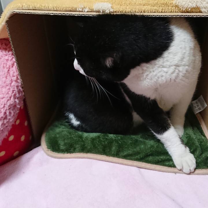 C1d57758 8851 4d16 9199 167eb89b5e7d 1554898980053